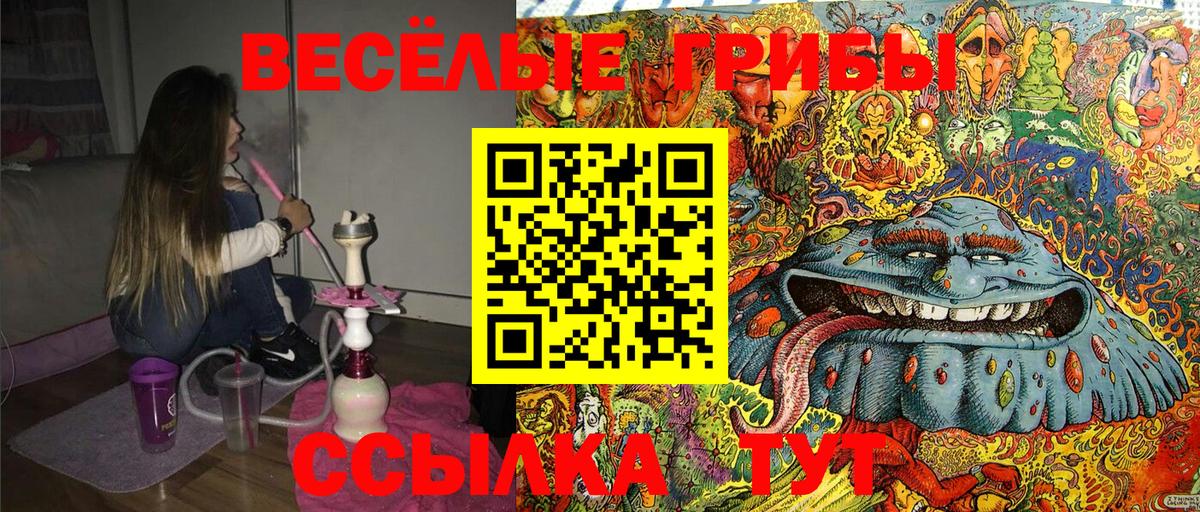 Псилоцибиновые грибы GOLDEN TEACHER  Вход с VPN  наркотики  Пенза  Псилоцибиновые грибы Cubensis 