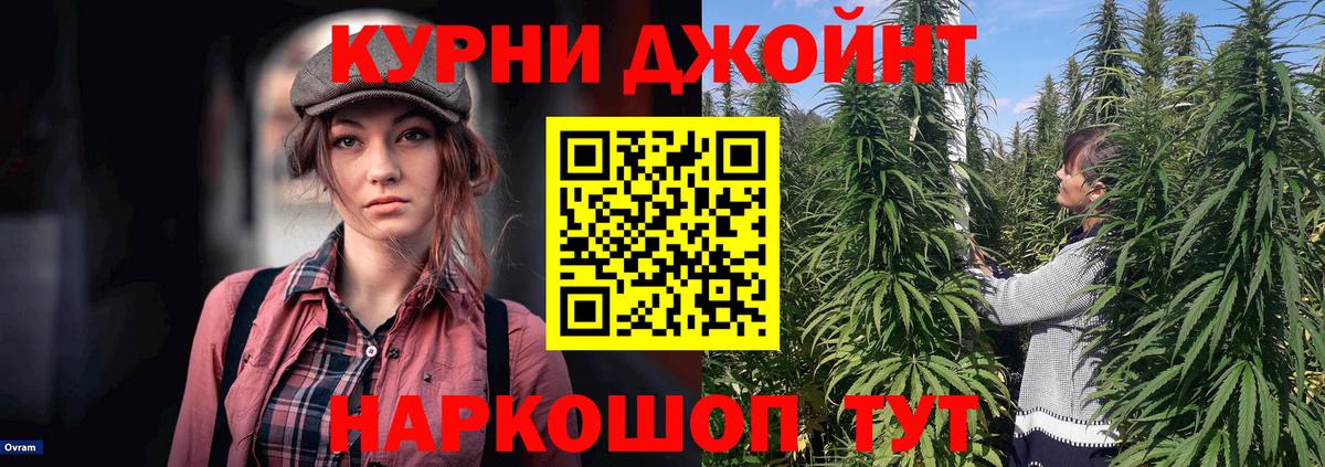 Канабис VHQ  МАРИХУАНА гибрид  Пенза  Вход с VPN 